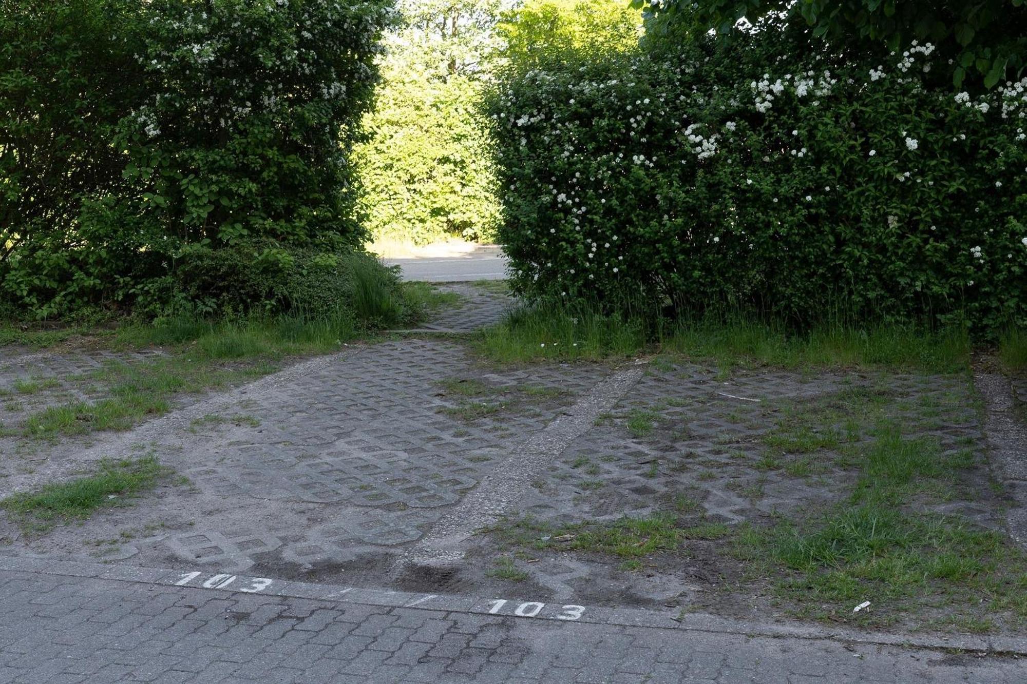 Apartamento Berolina Sonnentau Dahme  Exterior foto